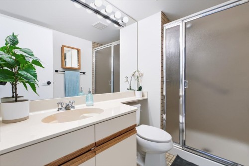 408-1350 View Crescent, Delta, BC - Indoor Photo Showing Bathroom