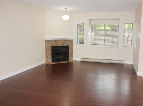 32-355 Duthie Avenue, Burnaby, BC - Indoor Photo Showing Living Room With Fireplace