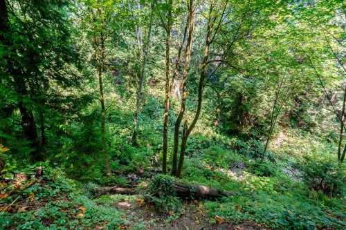 241B Evergreen Drive, Port Moody, BC - Outdoor