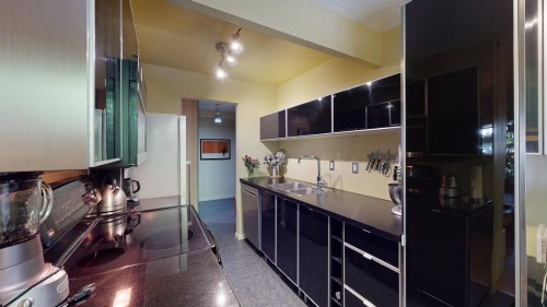 111-853 7Th Avenue E, Vancouver, BC - Indoor Photo Showing Kitchen With Double Sink
