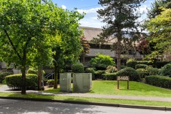 230-8460 Ackroyd Road  Richmond, BC V6X 3E9