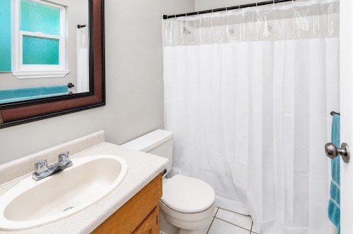 23415 Whippoorwill Avenue, Maple Ridge, BC - Indoor Photo Showing Bathroom