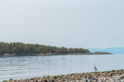 6504 Meier Road, Sechelt, BC - Outdoor With Body Of Water With View