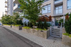 204-2435 Kingsway  Vancouver, BC V5R 5G8