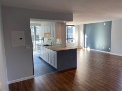 701-289 Drake Street  Vancouver, BC V6B 5Z6