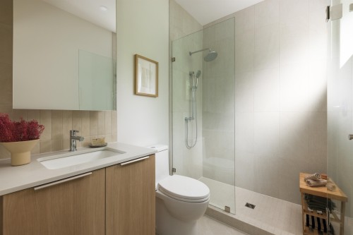 3-595 49Th Avenue E, Vancouver, BC - Indoor Photo Showing Bathroom