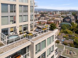 2405-550 Taylor Street  Vancouver, BC V6B 1R1