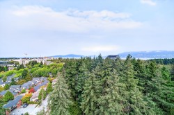 1805-5380 Crooked Branch Road  Vancouver, BC V6T 0E5