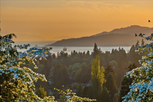 982 Braeside Street, West Vancouver, BC - Outdoor With Body Of Water With View