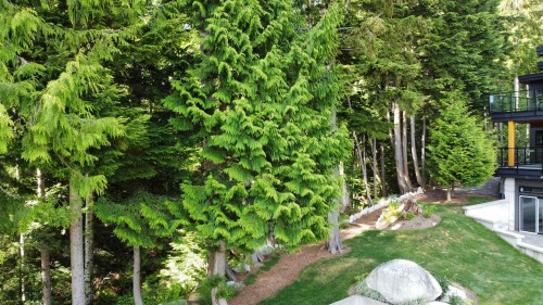685 Copper Drive, Squamish, BC 