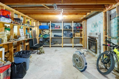 12612 215 Street, Maple Ridge, BC - Indoor Photo Showing Basement