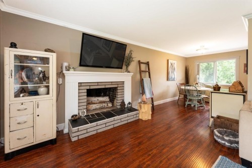 12290 252 Street, Maple Ridge, BC - Indoor Photo Showing Living Room With Fireplace