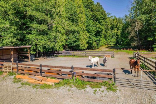 12290 252 Street, Maple Ridge, BC - Outdoor