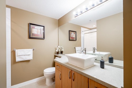 414-2958 Silver Spring Boulevard, Coquitlam, BC - Indoor Photo Showing Bathroom