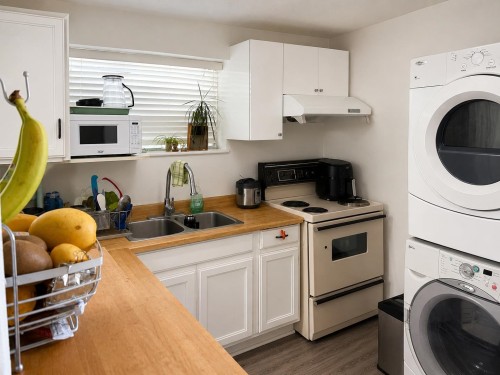 374 54Th Avenue E, Vancouver, BC - Indoor Photo Showing Laundry Room