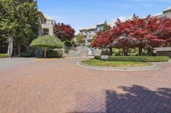 409A-301 Maude Road  Port Moody, BC V3H 5B1