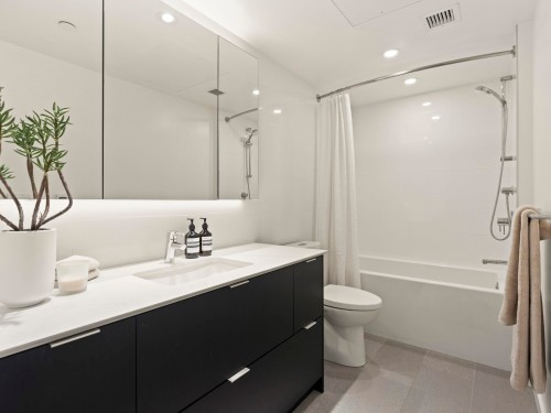 301-210 5Th Avenue E, Vancouver, BC - Indoor Photo Showing Bathroom