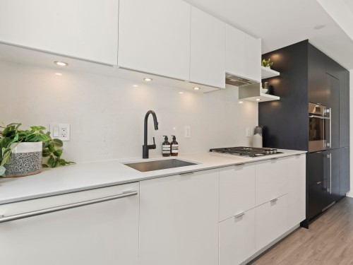 301-210 5Th Avenue E, Vancouver, BC - Indoor Photo Showing Kitchen With Upgraded Kitchen