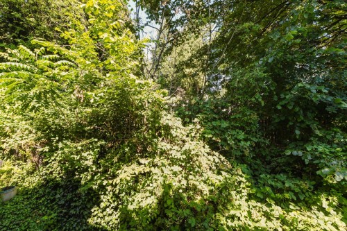 40-1355 Citadel Drive, Port Coquitlam, BC - Outdoor