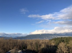 1303-5410 Shortcut Road  Vancouver, BC V6T 0C8