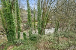 304-1550 Fell Avenue Avenue  North Vancouver, BC V7P 3E7