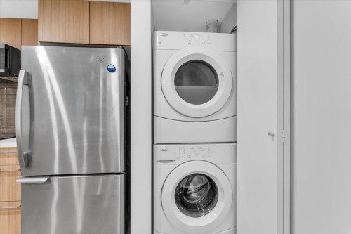304-618 Langside Avenue, Coquitlam, BC - Indoor Photo Showing Laundry Room