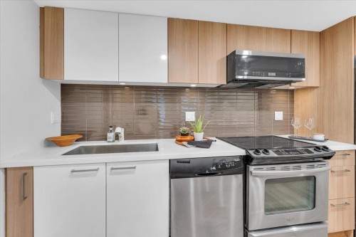 304-618 Langside Avenue, Coquitlam, BC - Indoor Photo Showing Kitchen With Upgraded Kitchen