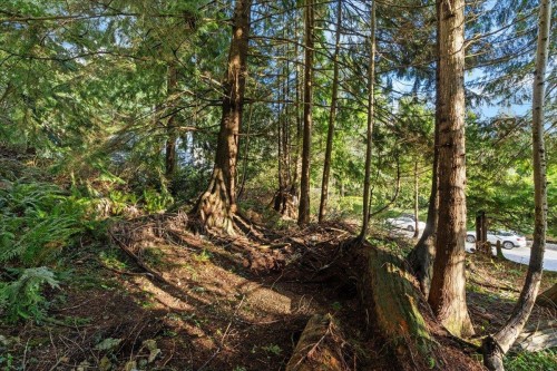 478 Craigmohr Drive, West Vancouver, BC 
