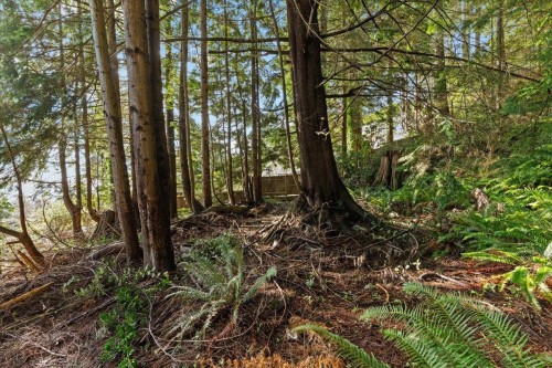 478 Craigmohr Drive, West Vancouver, BC 