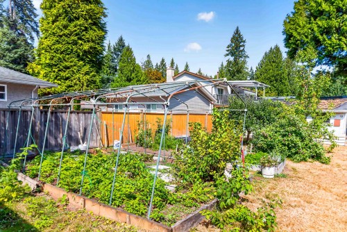 21437 122 Avenue, Maple Ridge, BC 