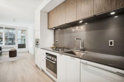 507-209 7th Avenue E Vancouver, BC V5T 0H3