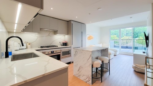 401-2235 Broadway E, Vancouver, BC - Indoor Photo Showing Kitchen With Upgraded Kitchen
