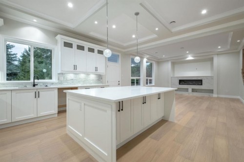 1342 Francis Crescent, Coquitlam, BC - Indoor Photo Showing Kitchen With Upgraded Kitchen