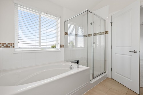 10441 Mceachern Street, Maple Ridge, BC - Indoor Photo Showing Bathroom