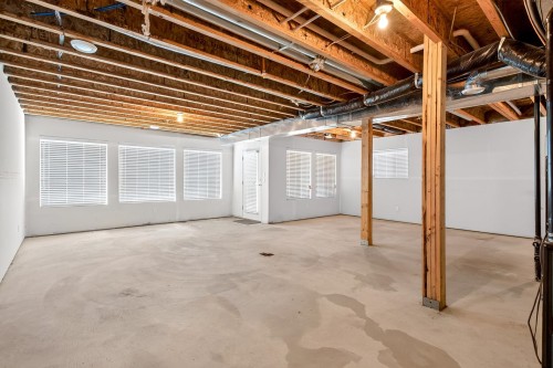 10441 Mceachern Street, Maple Ridge, BC - Indoor Photo Showing Basement