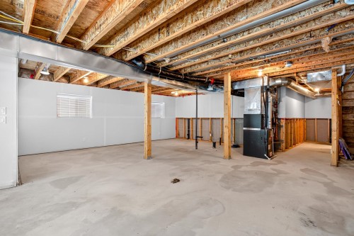 10441 Mceachern Street, Maple Ridge, BC - Indoor Photo Showing Basement