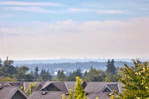 10441 Mceachern Street, Maple Ridge, BC - Outdoor With View