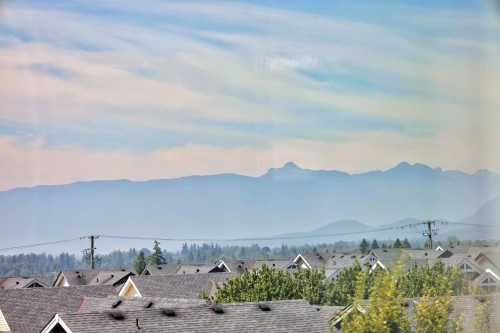10441 Mceachern Street, Maple Ridge, BC - Outdoor With View
