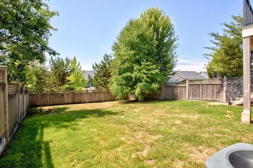 10441 Mceachern Street, Maple Ridge, BC - Outdoor With Backyard