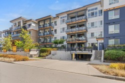 203-1792 Starling Drive Tsawwassen, BC V4M 0E4