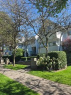 109-5250 Victory Street Burnaby, BC V5J 5H2