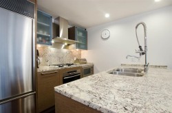 270X-1111 Alberni Street  Vancouver, BC V6E 4V2