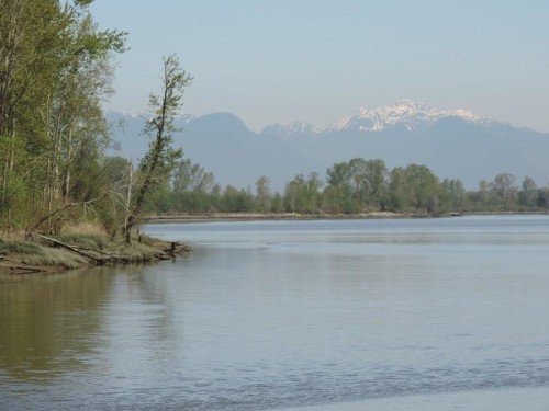 1FH-4515 River Road W Delta, BC V4K 1R9