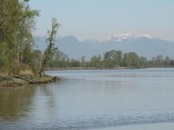 1FH-4515 River Road WDelta, BC V4K 1R9
