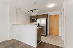 1703-1328 Pender Street WVancouver, BC V6E 4T1