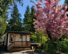 203-1830 Mamquam Road  Squamish, BC V0N 1T0