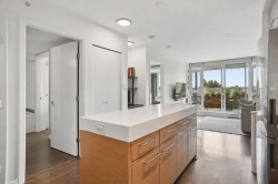 509-2770 Sophia Street  Vancouver, BC V5T 0A4