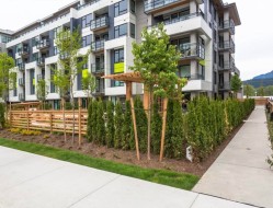 107-3018 St George Street Port Moody, BC V3H 0L4