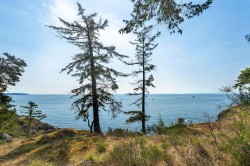 923 Ocean Park Lane Bowen Island, BC V0N 1G2