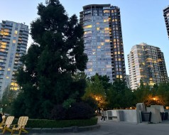 607-583 Beach Crescent Vancouver, BC V6Z 3E6